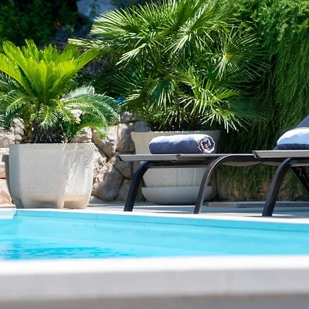 Agave Zaton (Dubrovnik-Neretva)